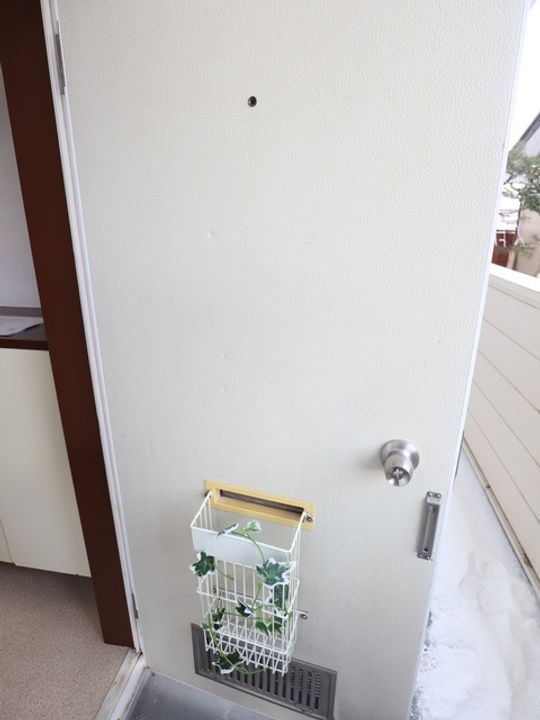 サザンコーポラス 1の玄関