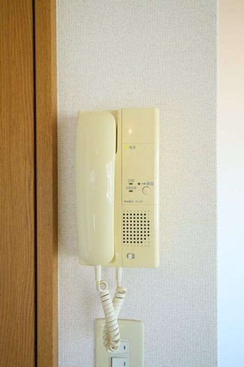 東京都江戸川区篠崎町1の賃貸マンションの内装