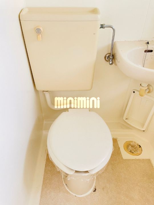 ホワイトパレスBの内装