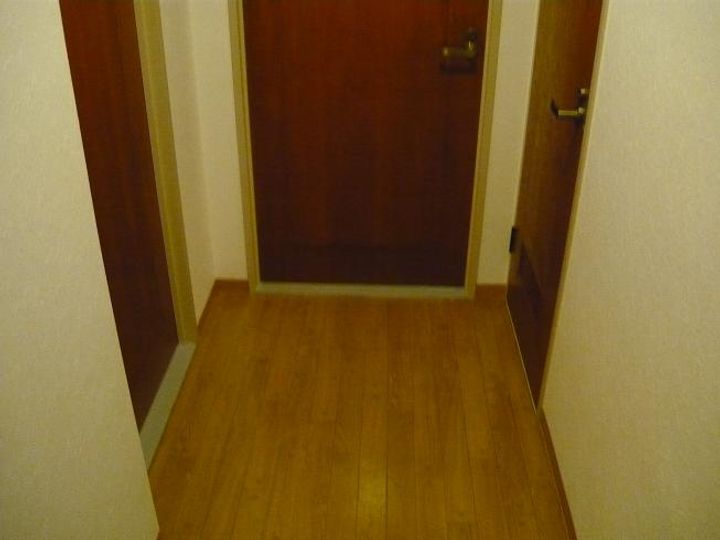 大阪府大阪市平野区瓜破東2(マンション)の賃貸物件の玄関