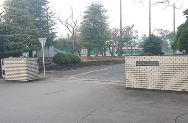 ウイングの周辺