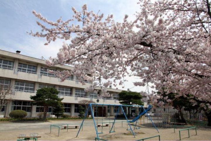 ドリームハイツ桜台の周辺