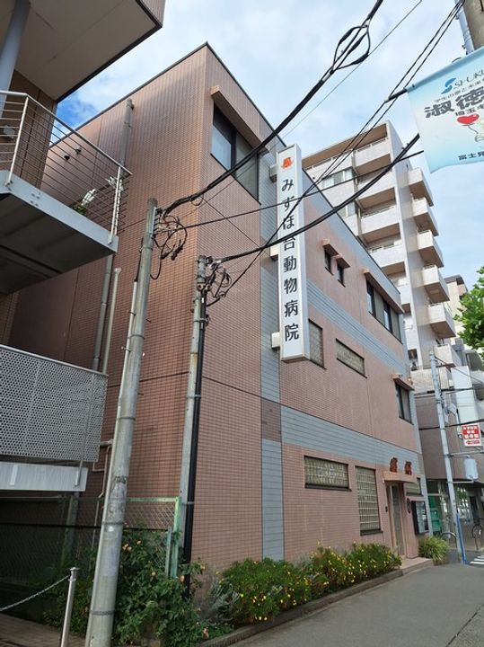 ラ ルミエールの周辺