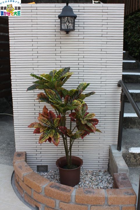 メゾンド江里町の地図