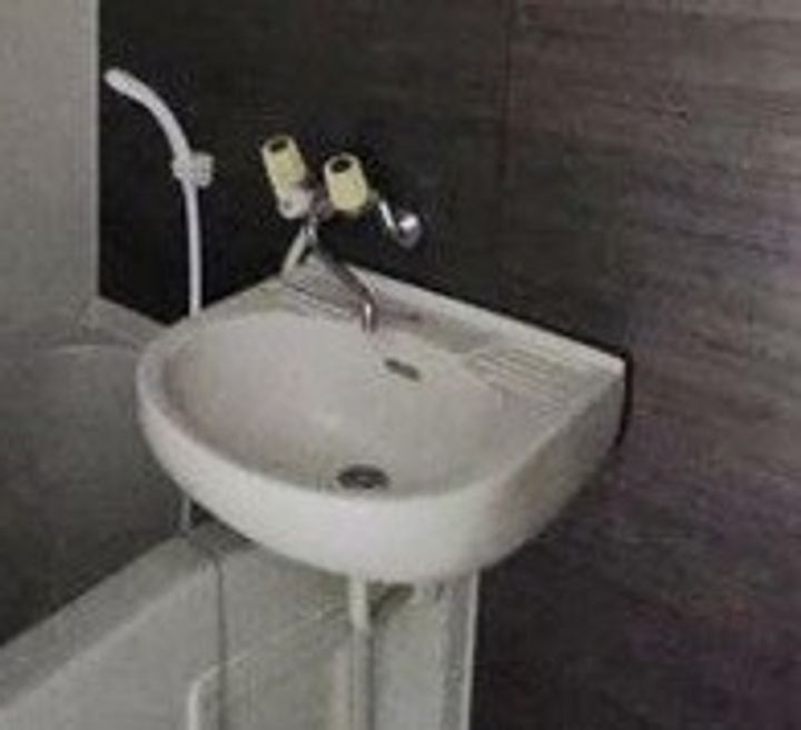 東京都墨田区立花2(アパート)の賃貸物件の内装