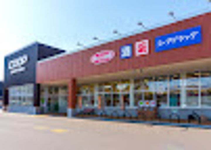 北海道札幌市西区西野五条8(一戸建)の賃貸物件の周辺