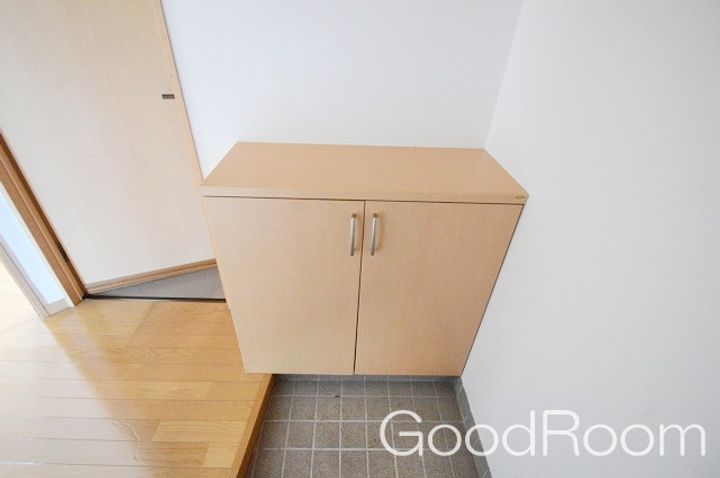 徳島県小松島市金磯町(マンション)の賃貸物件の玄関