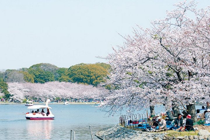 YKハイツ相生町の周辺
