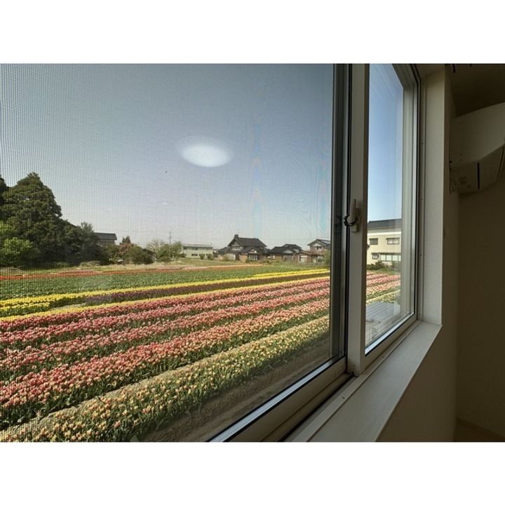 Natureのその他画像
