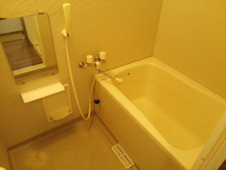 コーシンヒルズさわAの内装