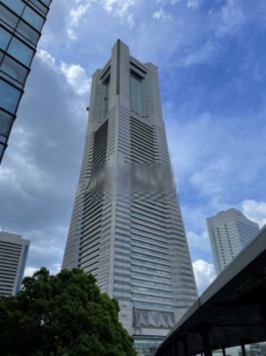 エムエムタワーズフォレシスL棟の周辺