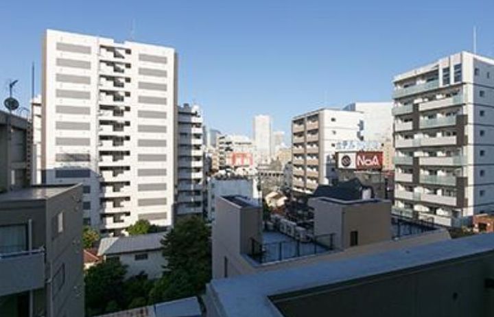 Dormouse Fineのその他画像