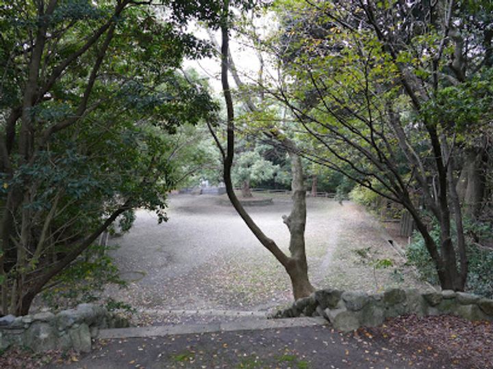 シャトレ平尾浄水町の周辺