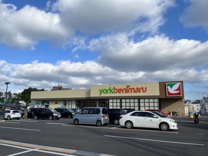 ラ・フォーレ東照宮の周辺