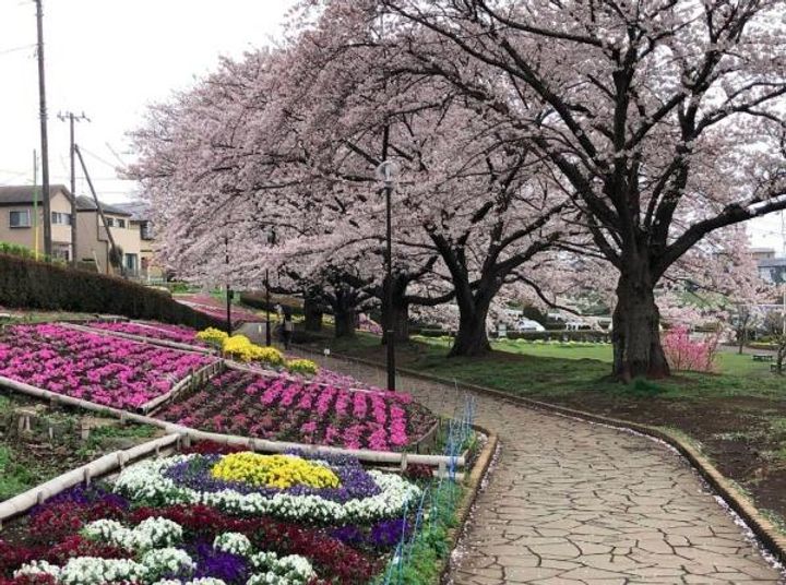 神奈川県相模原市南区相武台2(アパート)の賃貸物件の周辺