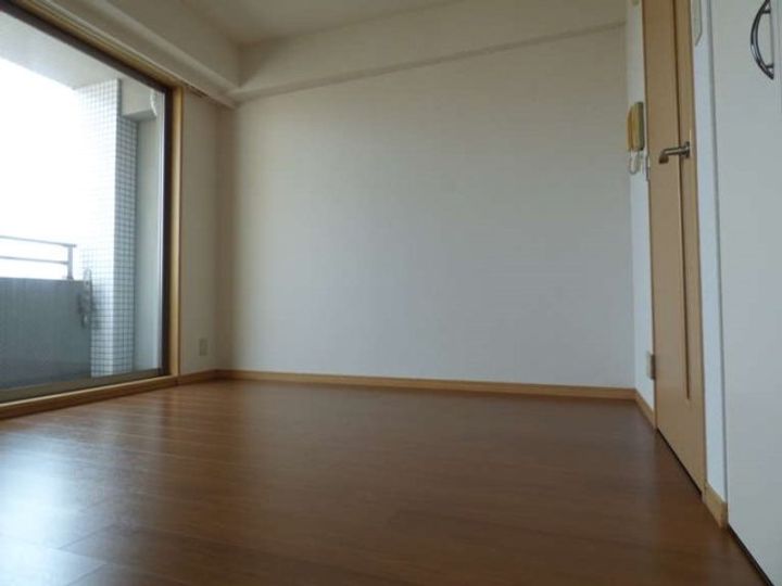 東京都豊島区目白5(マンション)の賃貸物件の居間