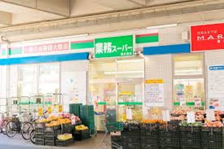 【プレイスガーデン喜多見】の周辺
