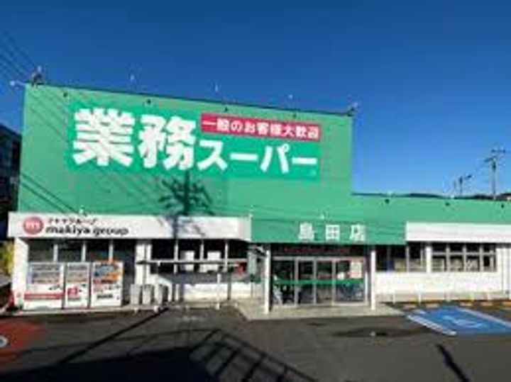 静岡県島田市野田(アパート)の賃貸物件の周辺