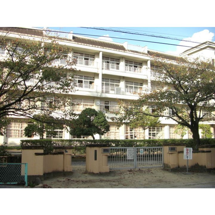 コーポ雄大の周辺