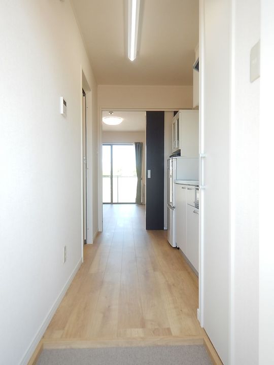 レセナII【備品付き】の玄関