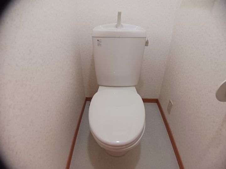 大阪府大阪狭山市茱萸木3(マンション)の賃貸物件の内装