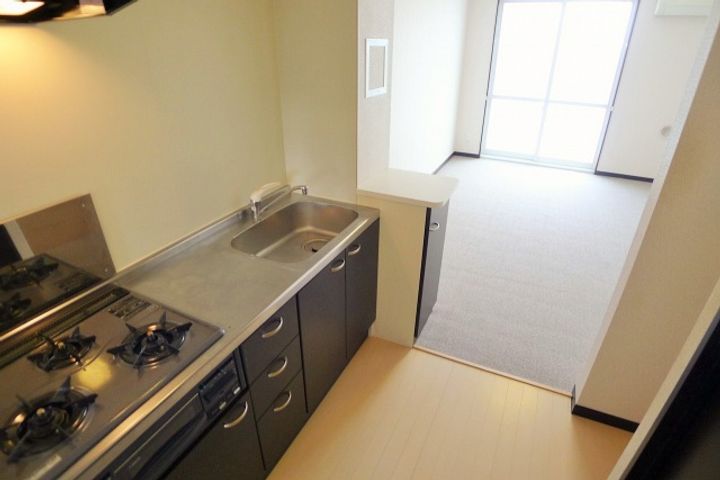 レオネクストドリーム金子の居間