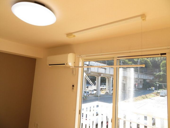 カラバッシュのその他画像