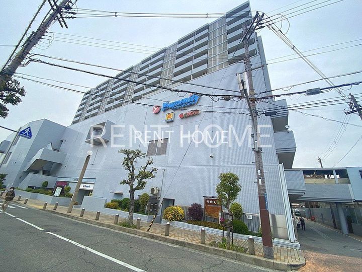 大阪府羽曳野市恵我之荘6(一戸建)の賃貸物件の周辺