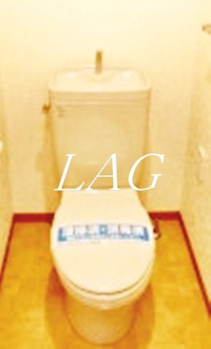 東京都日野市石田1(マンション)の賃貸物件の内装