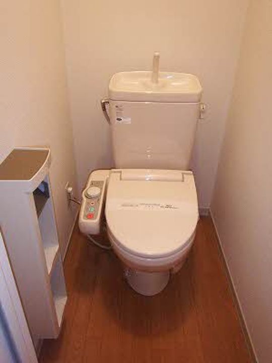 新潟県長岡市古正寺2(アパート)の賃貸物件の内装