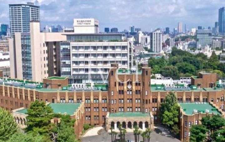 東京都台東区東上野4(マンション)の賃貸物件の周辺