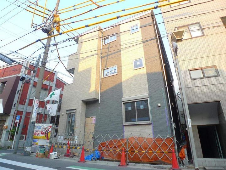 ラビット・イヤー・アイリスの外観