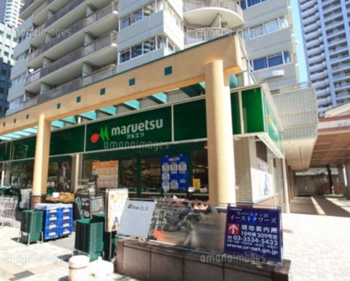 東京都中央区佃1(マンション)の賃貸物件の周辺