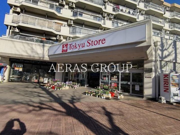 レオネクストカーサウーノの周辺