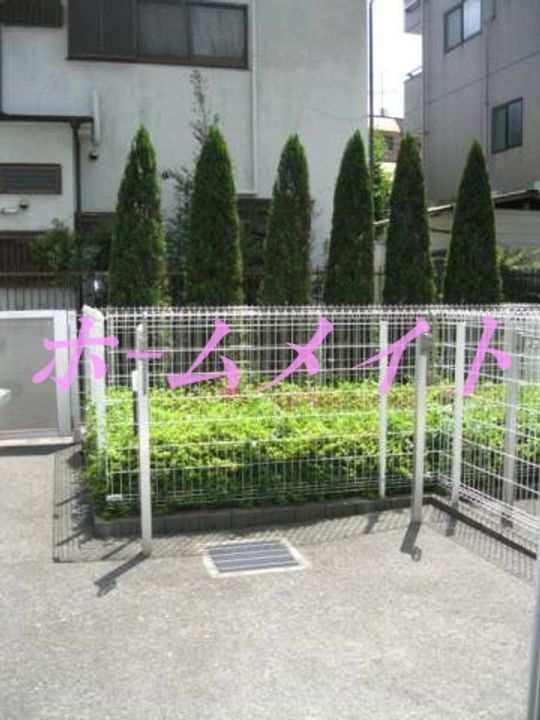 エルマーノの内装