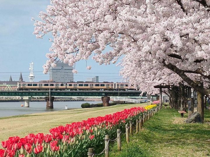 ニューハイツ幸の周辺