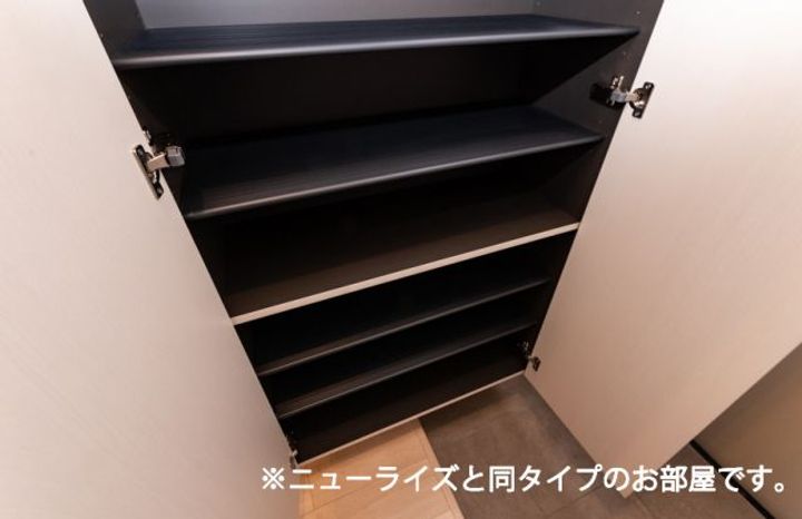 マリーゴールドのその他画像