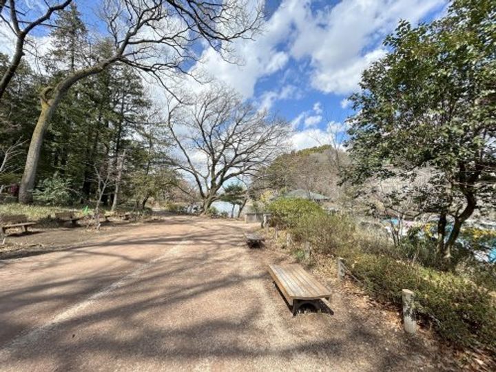 ララ吉祥寺通りの周辺
