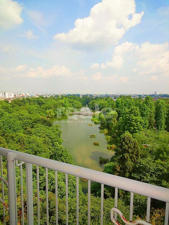 東京都武蔵野市吉祥寺南町4(アパート)の賃貸物件の周辺