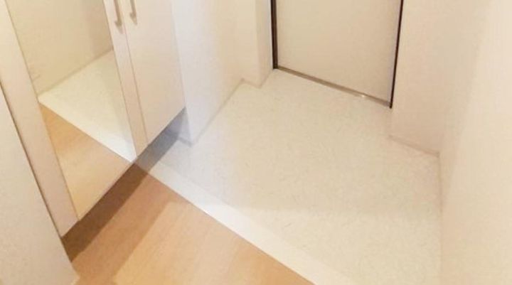 東京都品川区荏原1(マンション)の賃貸物件の玄関