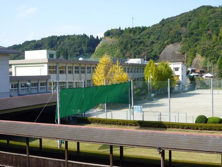 シャローム・Yの周辺