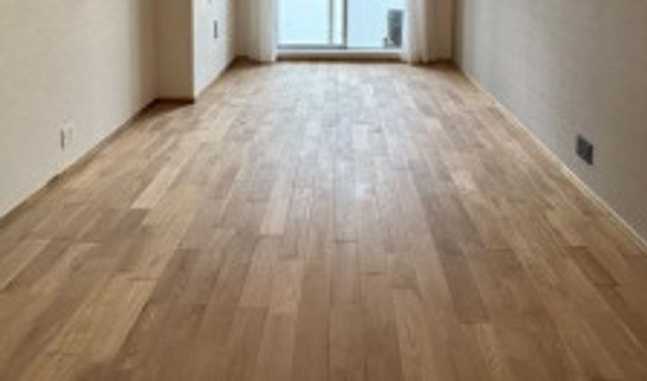 東京都千代田区一番町(マンション)の賃貸物件の居間
