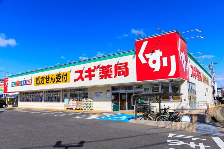 マンハイム西大島の周辺