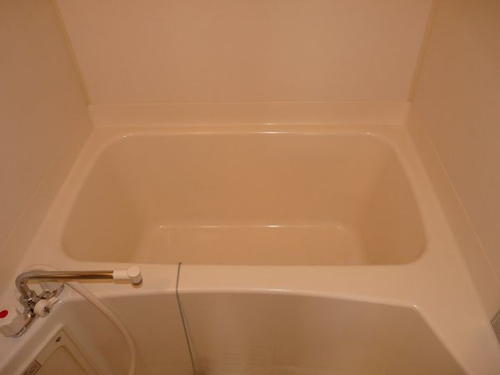 LightGardenI(ライトガーデン)の風呂