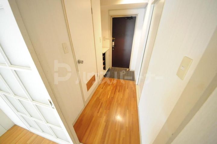 ブルーヒルズAの玄関