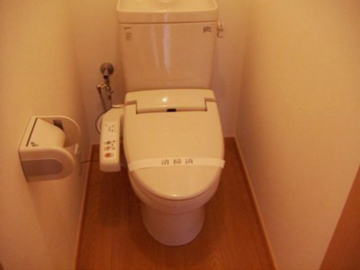 埼玉県入間郡毛呂山町大字毛呂本郷(アパート)の賃貸物件の内装