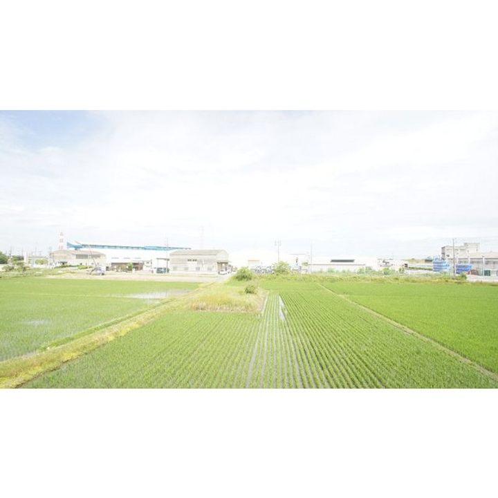 エクセルハイツのその他画像