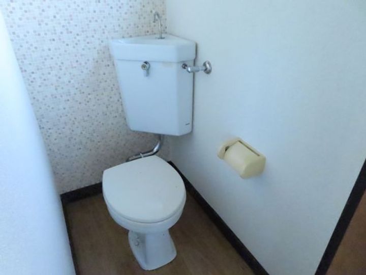 埼玉県深谷市東方(一戸建)の賃貸物件の内装