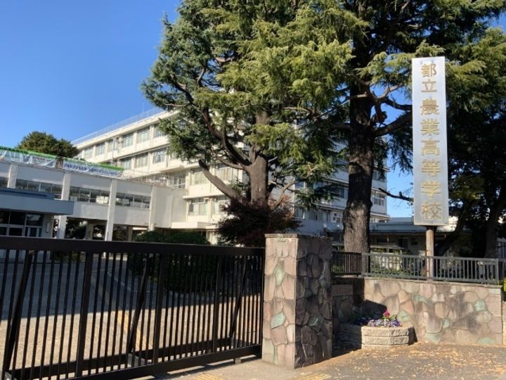 サクヤコノハナの周辺