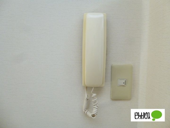 神奈川県小田原市酒匂2(一戸建)の賃貸物件の内装